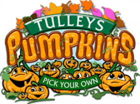 Tulleys Pumpkins - Pick Your Own