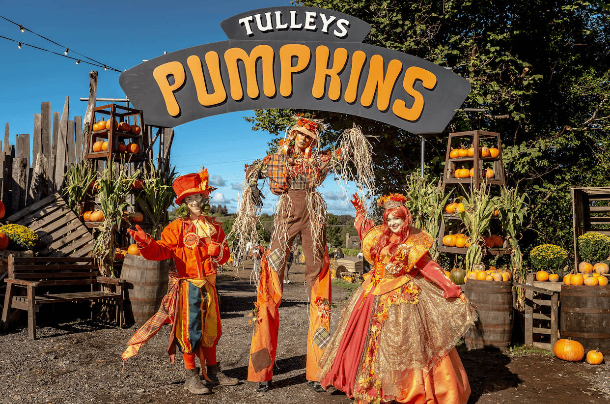 Tulleys Pumpkin Festival, from Tulleys Farm