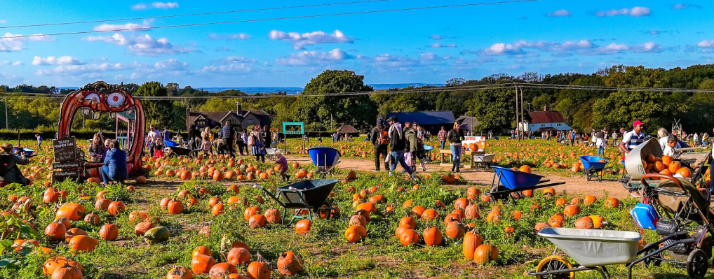 Pumpkins